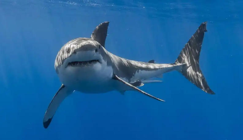 陕西金丝峡景区官网轮播图1